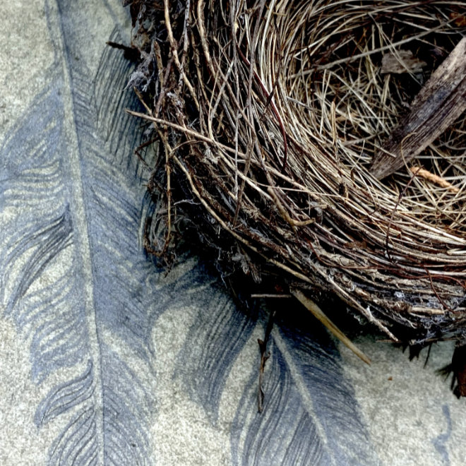 Simply Feathers by artist Trish Durham.