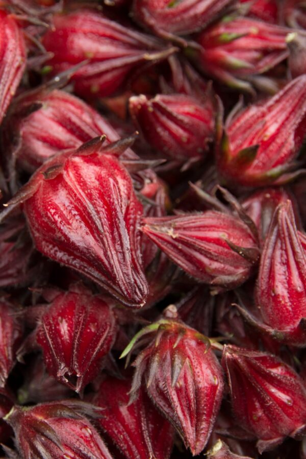 Bush Berry Gin - Image 6