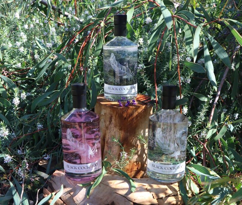 Contact us to explore Black Cockatoo's range of gins
